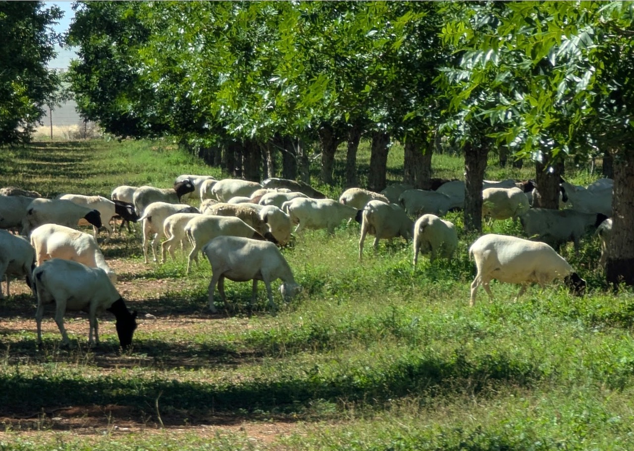 Shade nets with cliff view