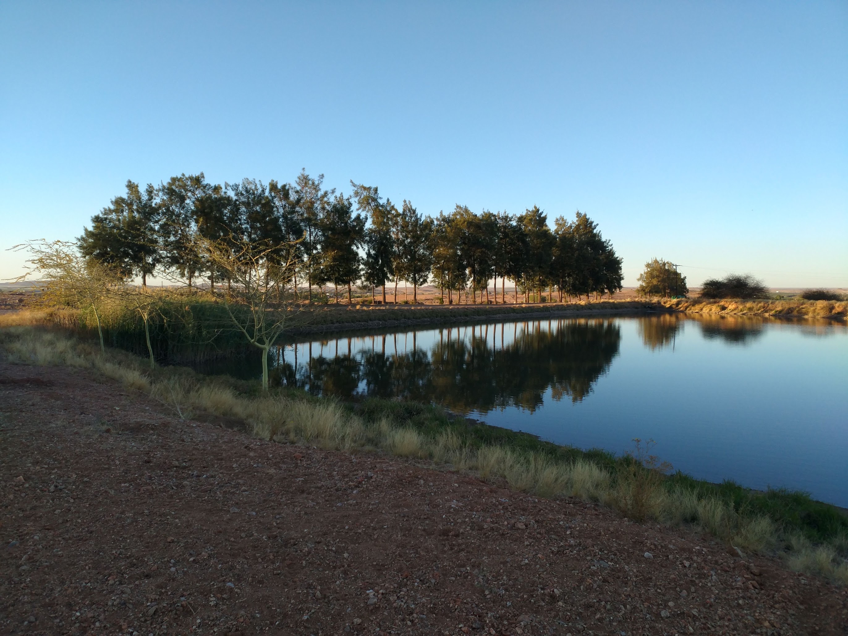 Farm dam in the morning
